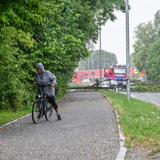 Umgestürzte Baumstämme nach einem Unwetter in Friedrichshafen
