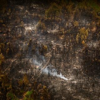 Rauch, der aus einem Waldbrand in einem bereits abgebrannten Gebiet auftsteigt. (Symbolbild)