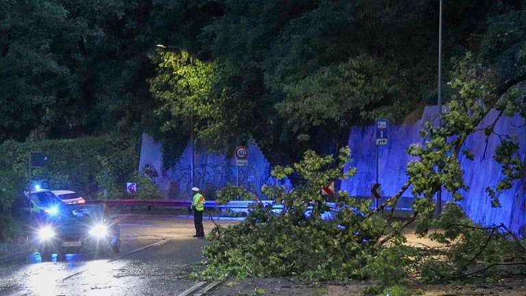 Ein Baum liegt nach einem Unwetter am Abend auf einer Straße in Stuttgart.