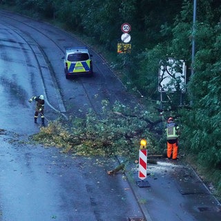 Nach einem Gewitter am Freitagabend ist die Feuerwehr im Einsatz: Bäume sind unter anderem auf Straßen gefallen.