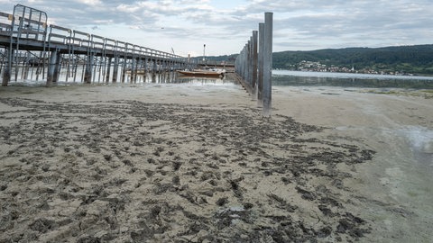 Ein Steg reicht weit aus dem Wasser, Boote liegen kaum noch im Wasser. Niedriger Wasserstand am Bodensee im Hafen Horn auf der Hoeri bei Gaienhofen am 21.07.2026.