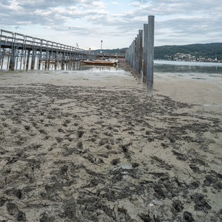 Ein Steg reicht weit aus dem Wasser, Boote liegen kaum noch im Wasser. Niedriger Wasserstand am Bodensee im Hafen Horn auf der Hoeri bei Gaienhofen am 21.07.2026.