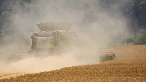 Ein Mähdrescher ist in einem Getreidefeld unterwegs. Die Landwirte in Baden-Württemberg haben mit der extremen Trockenheit zu kämpfen.