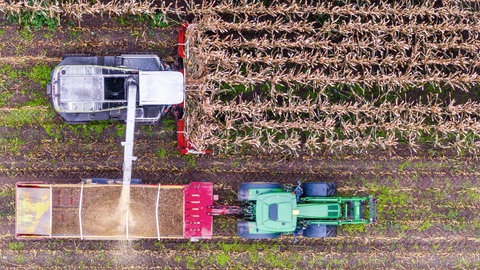 Eine Häcksler fährt bei der Maisernte über einen Acker (Luftaufnahme mit einer Drohne). Die Ernte soll laut ZG Raiffeisen in Karlsruhe um 30 Prozent geringer ausfallen.