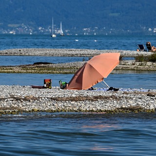 Durch das Niedrigwasser des Bodensees sind vor Langenargen mehrere frei liegende und gut sichtbare Landzungen und Kiesbänke entstanden. 