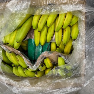 Ein Mann soll in einem Discounter in Gottmadingen beim Griff in eine Bananenkiste gebissen oder gestochen worden sein. Ein Arzt vermutet einen Spinnenbiss.