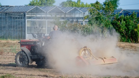 Dichte Staubwolken wirbelt ein Traktor auf, der über einen Acker fährt.