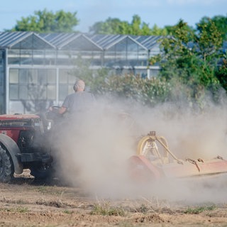 Dichte Staubwolken wirbelt ein Traktor auf, der über einen Acker fährt.