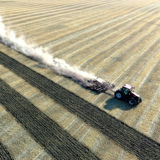 Symbolbild: Ein Traktor beim Auflockern des Bodens nach der Getreideernte. Manches Getreide würde sich nicht mehr lohnen, angebaut zu werden.