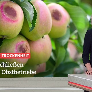 Nachrichtensprecherin Tatjana Geßler