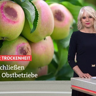 Nachrichtensprecherin Tatjana Geßler