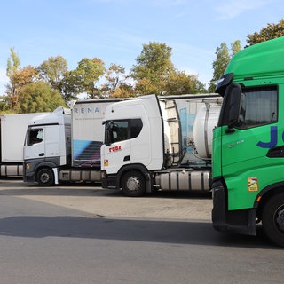 Mehrere Lkw stheen auf einem Autobahnparkplatz. Die baden-württembergische Landesregeirung hat beschlossen, das Fahrverbot an Sonntagen aufzuheben.