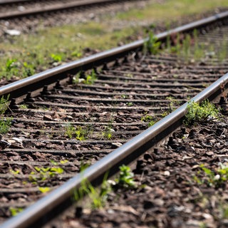 Schienen auf einer Bahnstrecke: Die Deutsche Bahn hat Hitzeschäden festgestellt, deshalb kommt es zu Ausfällen und Verspätungen.