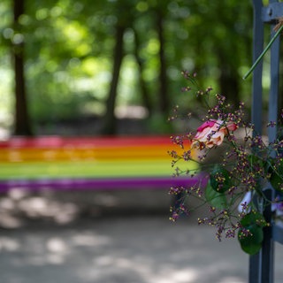 In der Nähe des CSD-Anschlags wurde ein französischer Ahorn-Baum gepflanzt und eine Regenbogenfarbene Bank aufgestellt. Vor zwei Wochen gab es einen islamistischen Terroranschlag am Rand des Christopher Street Days (CSD) bei dem eine Frau starb.