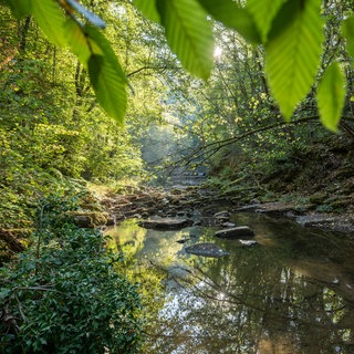 Die Sonne scheint im Schlichemtal bei Epfendorf im Landkreis Rottweil auf den Fluss Schlichem.