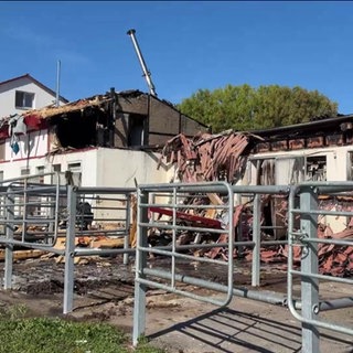 Großbrand auf Reiterhof in Tübingen