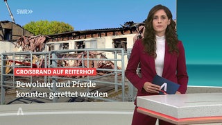 Nachrichtensprecherin Vanessa Valkovic