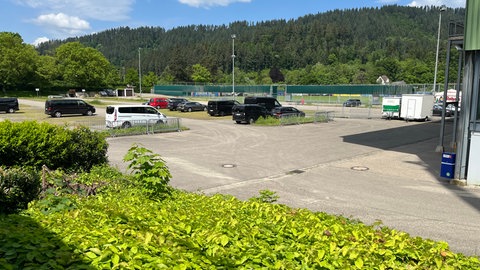 Dreisamstadion 
