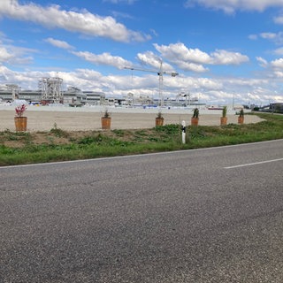 Die Blumenkübel stehen auf Herrenknechts Firmengelände in Schwanau-Allmannsweier.