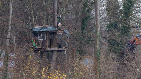 Archivbild von 2024: ein Baumhaus im Dietenbachwald. Um die Rodung von Bäumen zu verhindern, hatten Aktivisten den Wald besetzt.