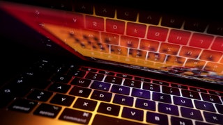 Immer mehr Menschen fallen im Internet auf Anlagebetrüger herein und verlieren dabei ihr Geld. 