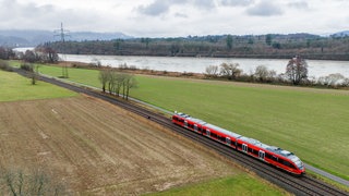 Ein Zug fährt auf der Strecke der Hochrheinbahn zwischen Basel und Erzingen. Im Hintergrund fließt der Rhein.