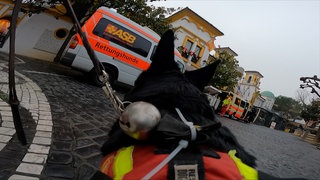 Die schwarze Schäferhündin Ombra läuft durch den Europa-Park. Im Hintergrund steht ein Rettungswagen mit der Aufschrift Rettungshunde. Das Bild ist mit einer Go-Pro-Kamera aufgenommen, die auf dem Rücken des Hundes befestigt ist.