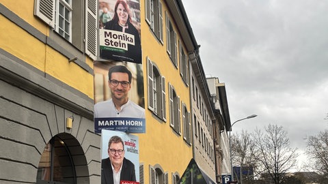 Wahlplakate vor der OB-Wahl in Freiburg