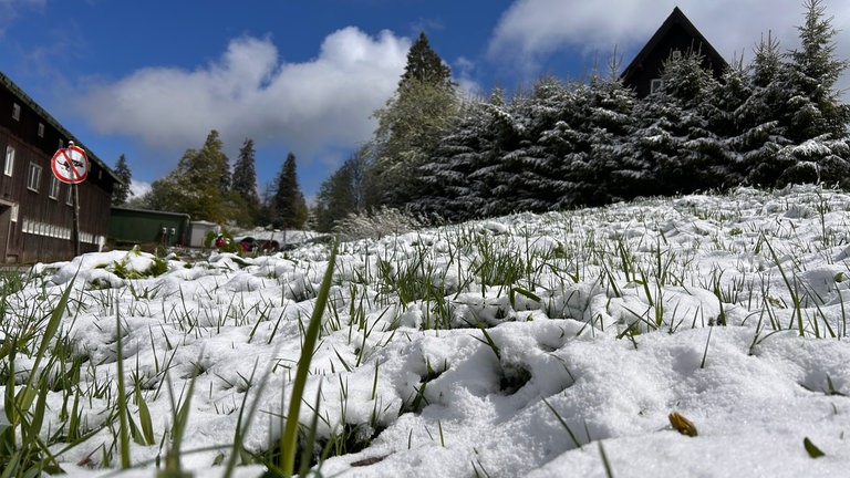 Eine dünne Schneeschicht liegt auf dem Feldberg