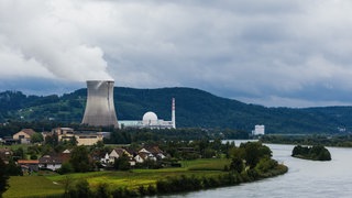 Das Kernkraftwerk Leibstadt mit einem Kühlturm liegt neben einem Fluss. 