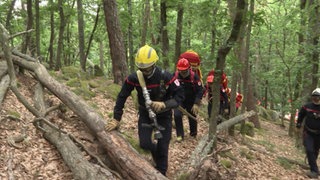 Französische Feuerwehrleute im Wald.