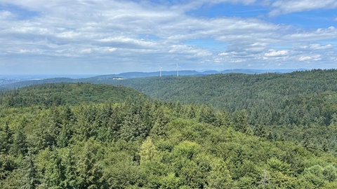 Ettenheimer Wald von oben