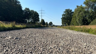 Die Dreisam bei March. Da, wo sonst der Fluss fließt, erstreckt sich jetzt nur noch eine trockene Steinwüste.