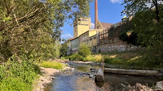 Ein Kältepool in der Dreisam Höhe Brauerei Ganter. Hier gilt ab sofort bei einem zu niedrigen Wasserpegel ein Badeverbot.