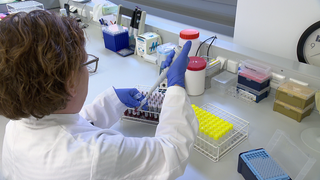 Eine Frau arbeitet in einem Labor mit einer Pipette an Blutproben von Rindern. 