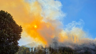 Im Ortenaukreis haben am Dienstag mehrere Waldstücke gebrannt.