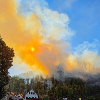 Im Ortenaukreis haben am Dienstag mehrere Waldstücke gebrannt.