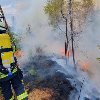 Die Feuerwehr versucht einen Waldbrand bei Schramberg im Landkreis Rottweil zu löschen.
