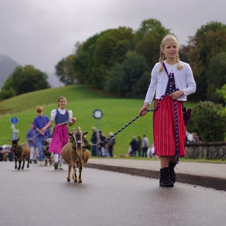 Beim 29. Viehabtrieb in Oberried haben die Zuschauer eine abgespeckte Version der Tradition miterlebt. Die eigentlichen Stars des Tages - die Kühe - sind wegen der Dürre im Sommer schon im Tal.