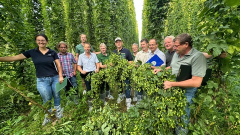 Menschen mit Klemmbrettern halten Hopfenpflanze in Tettnang