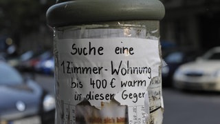 Ein Wohnungsgesuch hängt an einer Säule neben einer Straße. 