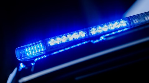 Blaulicht an einem Polizeiauto. Die Polizei hat in Bad Waldsee eine mutmaßliche Kinderbande ermittelt. (Symbolbild)