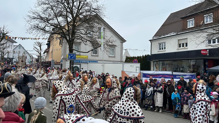 Beste Stimmung bei Narren und Zuschauern beim großen Landschaftstreffen in Aulendorf