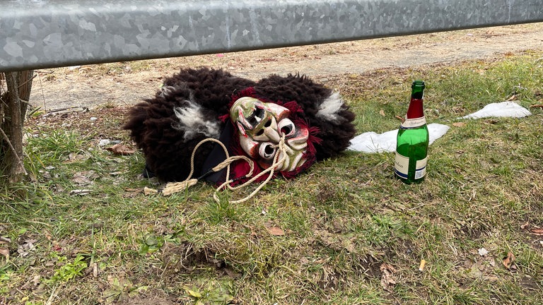35 Themenwagen bei der Nonnenhorner Wagenfasnet am Wahlsonntag.
