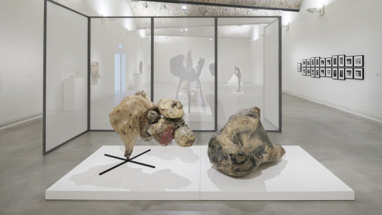 Ausstellungsansicht: Körpersprachen, Alina Szapocznikow im Kunstmuseum Ravensburg
