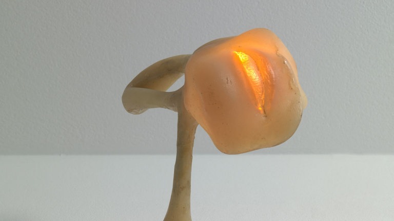 Sculpture-lampe X, Alina Szapocznikow, 1970, T&C Collection