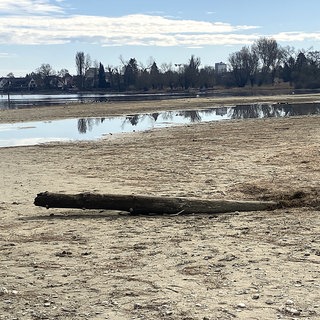 Bodensee im Frühling 2025: Kein Regen in Sicht, niedrige Wasserstände
