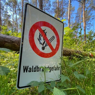 Wegen der Trockenheit herrscht derzeit eine hohe Waldbrandgefahr auch am Bodensee und in Oberschwaben.
