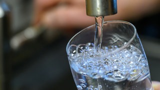 Trinkwasser läuft aus einem Wasserhahn in ein Glas.