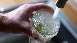 Wasser läuft aus einem Hahn in ein Glas: Das Trinkwasser in Radolfzell am Bodensee ist wieder sauber. Nach einem Unwetter musste das Wasser abgekocht werden. 